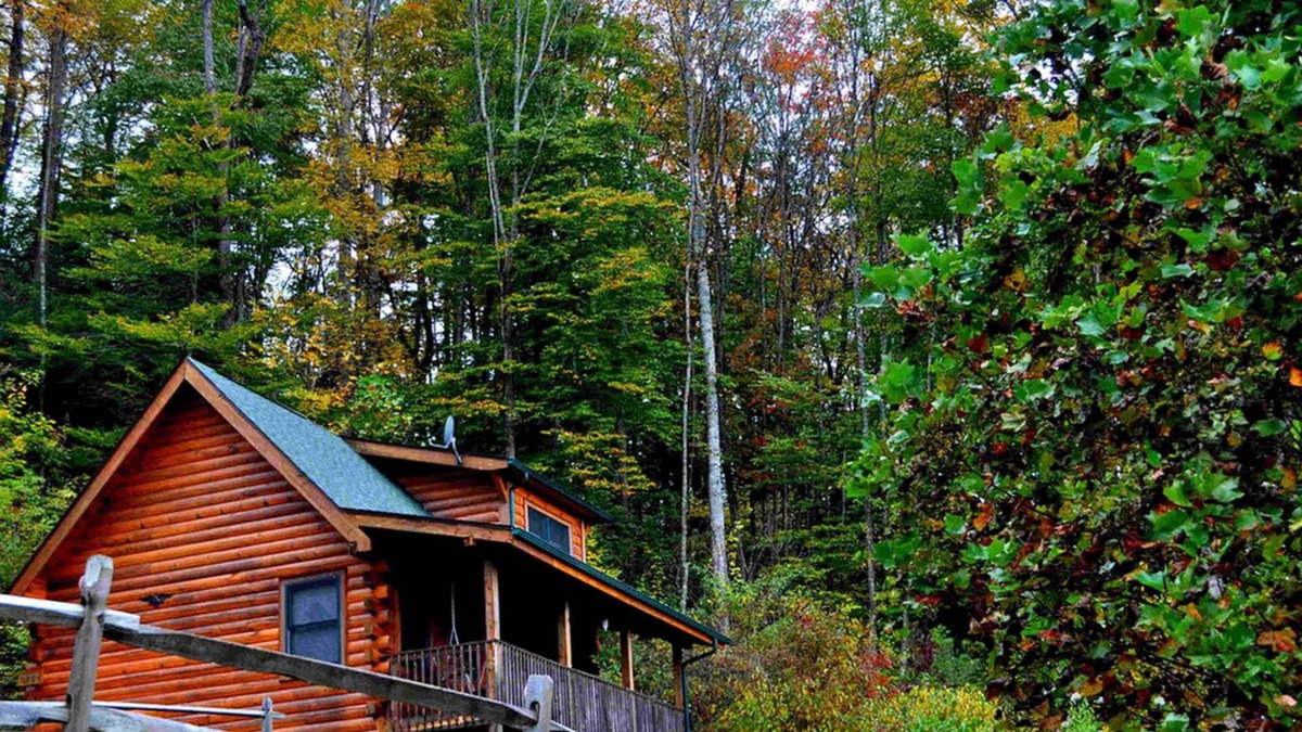 Waynesville Cabin | Deer Country Vacation Cabins #4 - Long Range View, Dogs Friendly