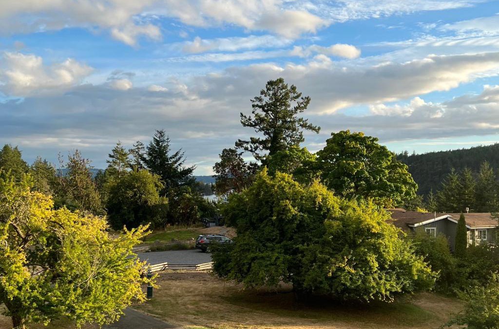 Deer Harbor Hotel | Deer Harbor Inn