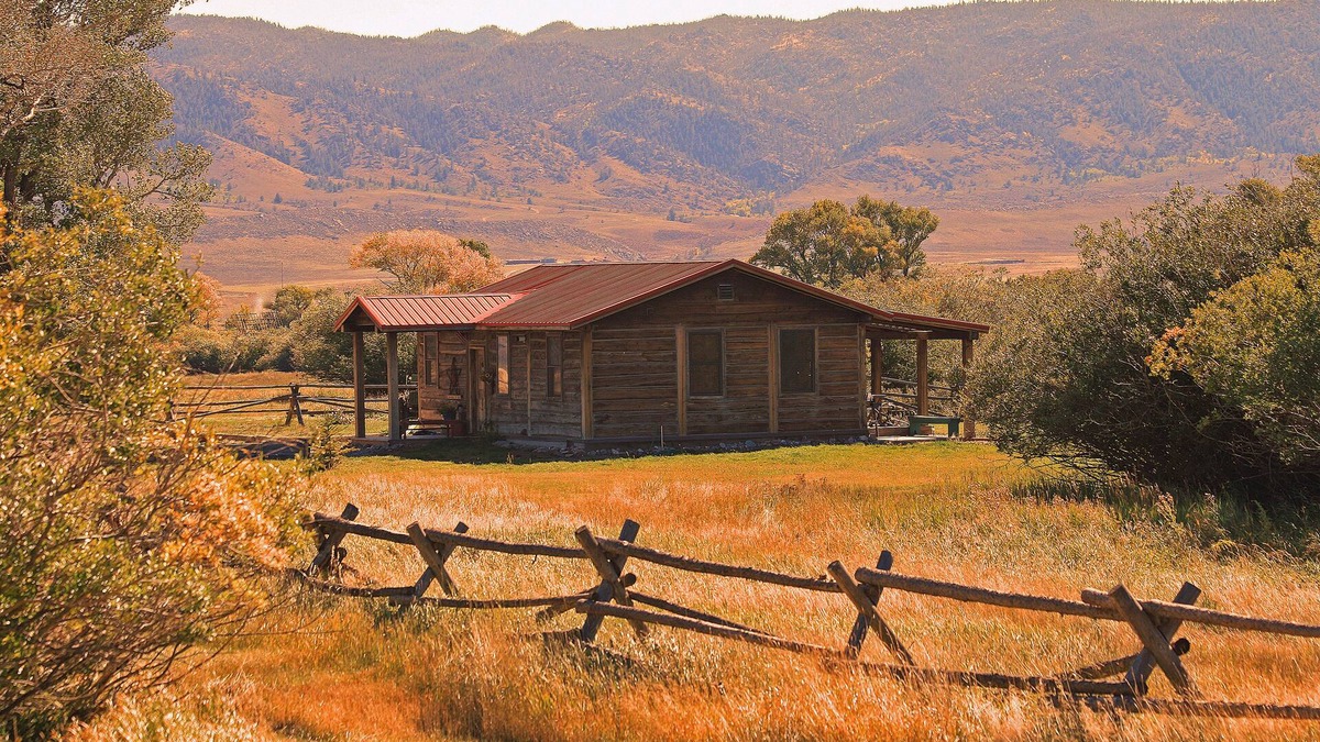 Albany County Cabin | Deerwood Station- Relax in Our Beautiful Guest Cabin!