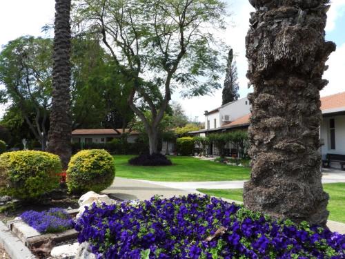 Deganya Bet Hotel | Degania Bet Kibbutz Country Lodging