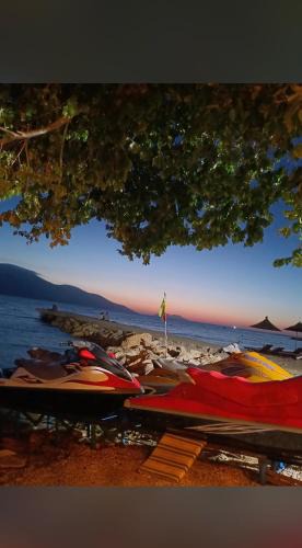 Radhime Boat Rental | Dejvi Jet Ski