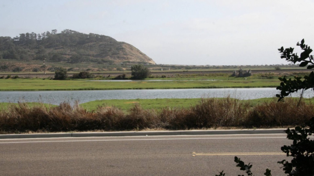 Torrey Preserve Bed & Breakfast | Del Mar - Torrey Pines Beach Getaway! Walk to Beaches, Hiking & Restaurants!