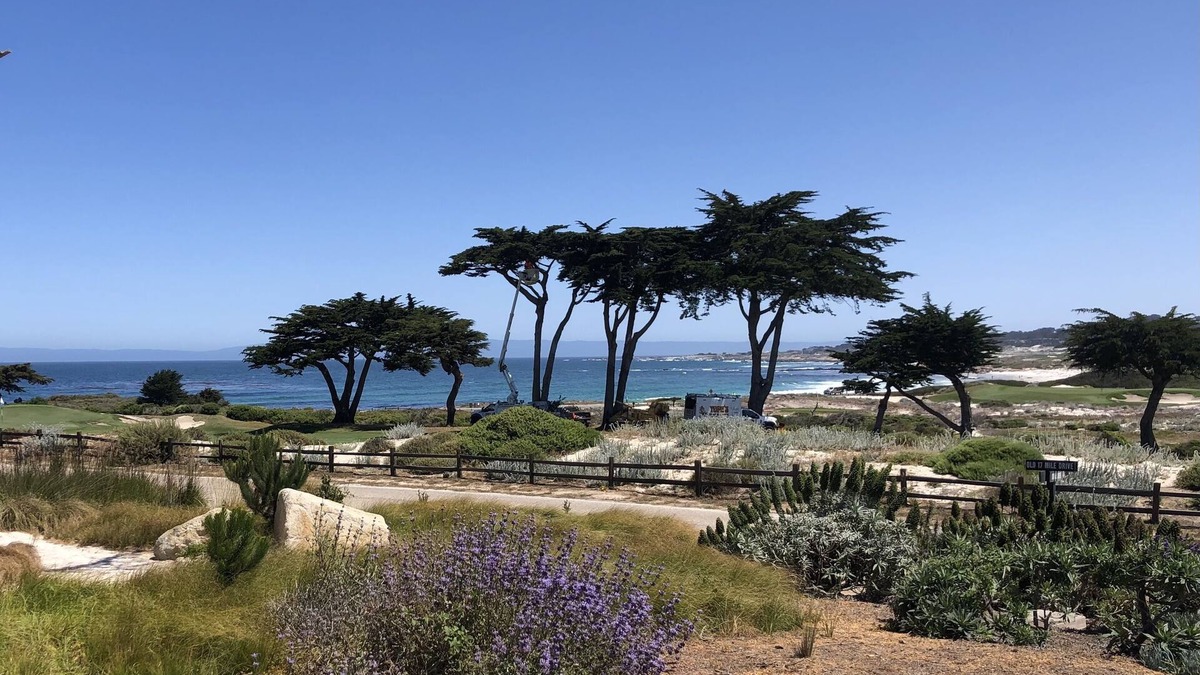 Del Monte Forest House | Delightful Pebble Beach Home - Steps from Pacific Ocean & 17 Mile Drive!