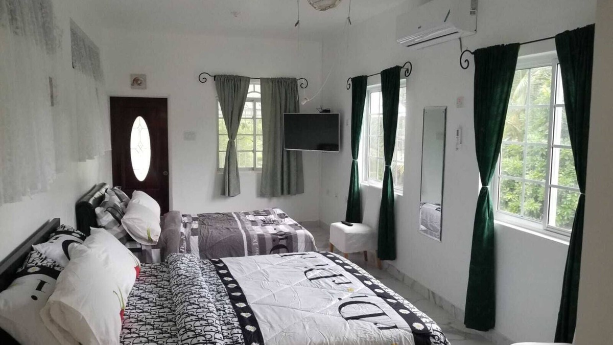 Porus Apartment | Delightful studio with AC in Clarendon Park