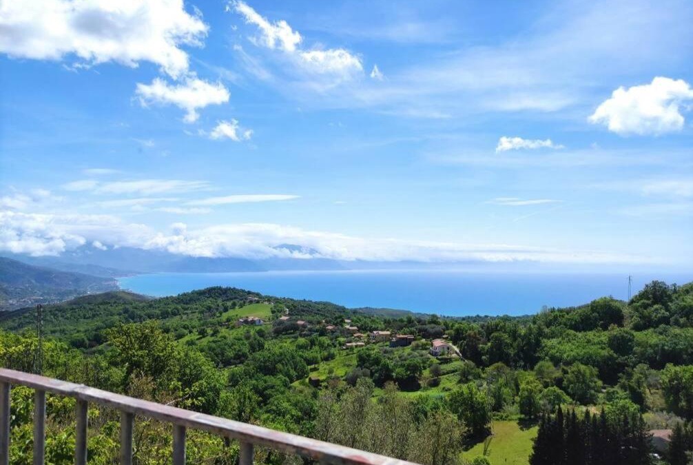 San Mauro Cilento Apartment | Delizioso appartamento al centro di Bosco