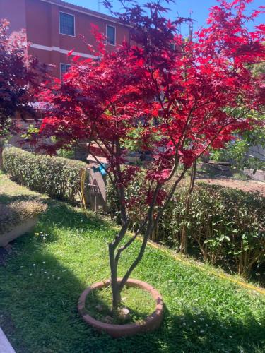 Zona XXXII Acilia Nord Apartment | Delizioso appartamento in villa tra mare e città