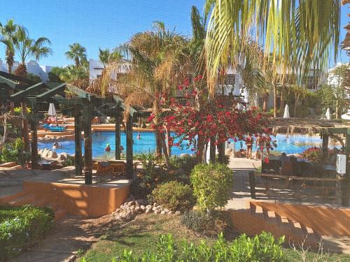 El Hadaba Apartment | Delta Sharm luxury pool view apartment Shahrazad