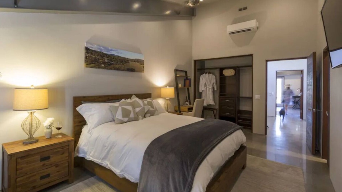 Clear Lake Apartment | Deluxe King Room on Winery & Vineyard Property