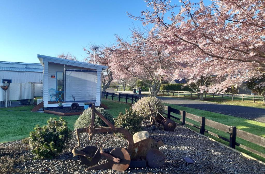 Matamata Bed & Breakfast | Denchys B&B