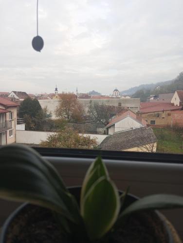 Pozega Apartment | Deniro Apartment