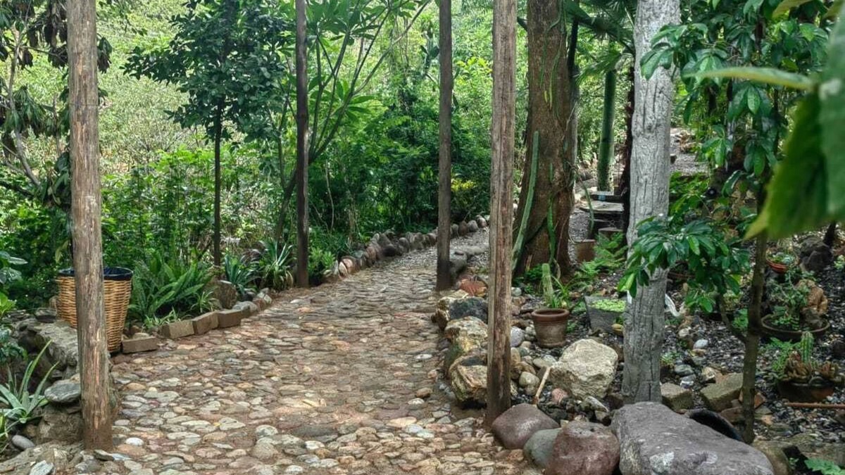 San Felipe del Agua Apartment | Departamento en medio de la naturaleza, ¡a solo 10 minutos del centro de Oaxaca!