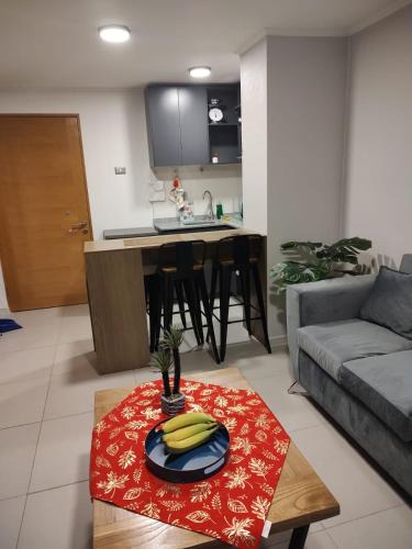 Downtown Santiago Apartment | Departamento excelente en Santiago