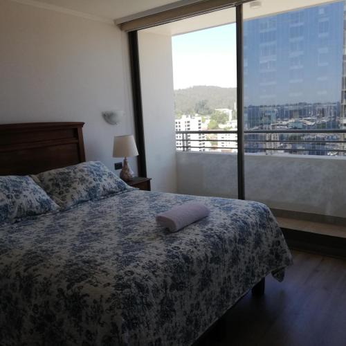 Concepcion Apartment | Departamento Freire 1062