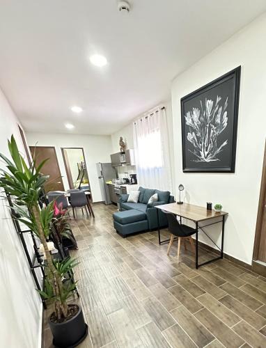 Roma Sur Apartment | Departamento Roma 2 CDMX