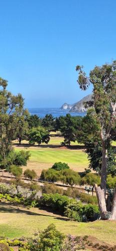 Quintay Apartment | Departamento un dormitorio en Santa Augusta