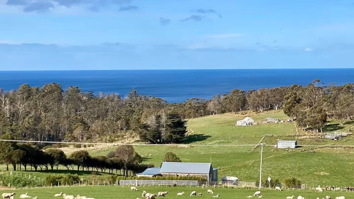 Bream Creek Other | Derford Farm Stay - The Barn