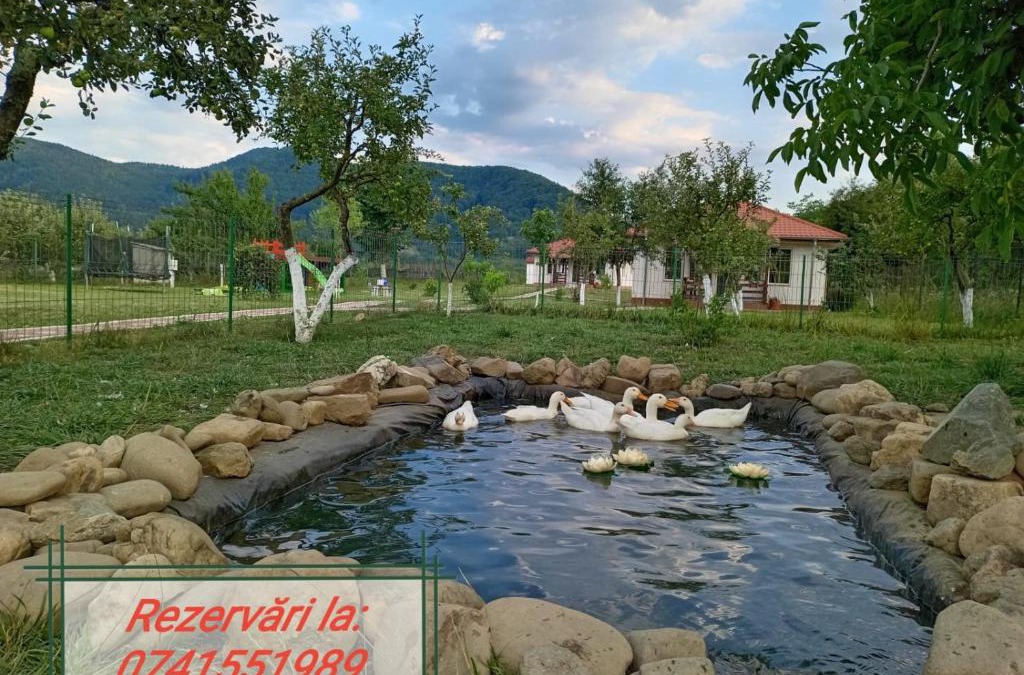 Viisoara House | Desculti prin iarba- la 6,6 km de centrul Piatra Neamt
