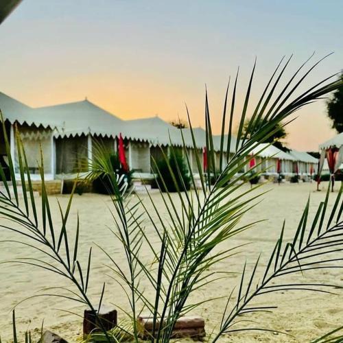 Kanoi Resort | desert Galaxy Camp Jaisalmer