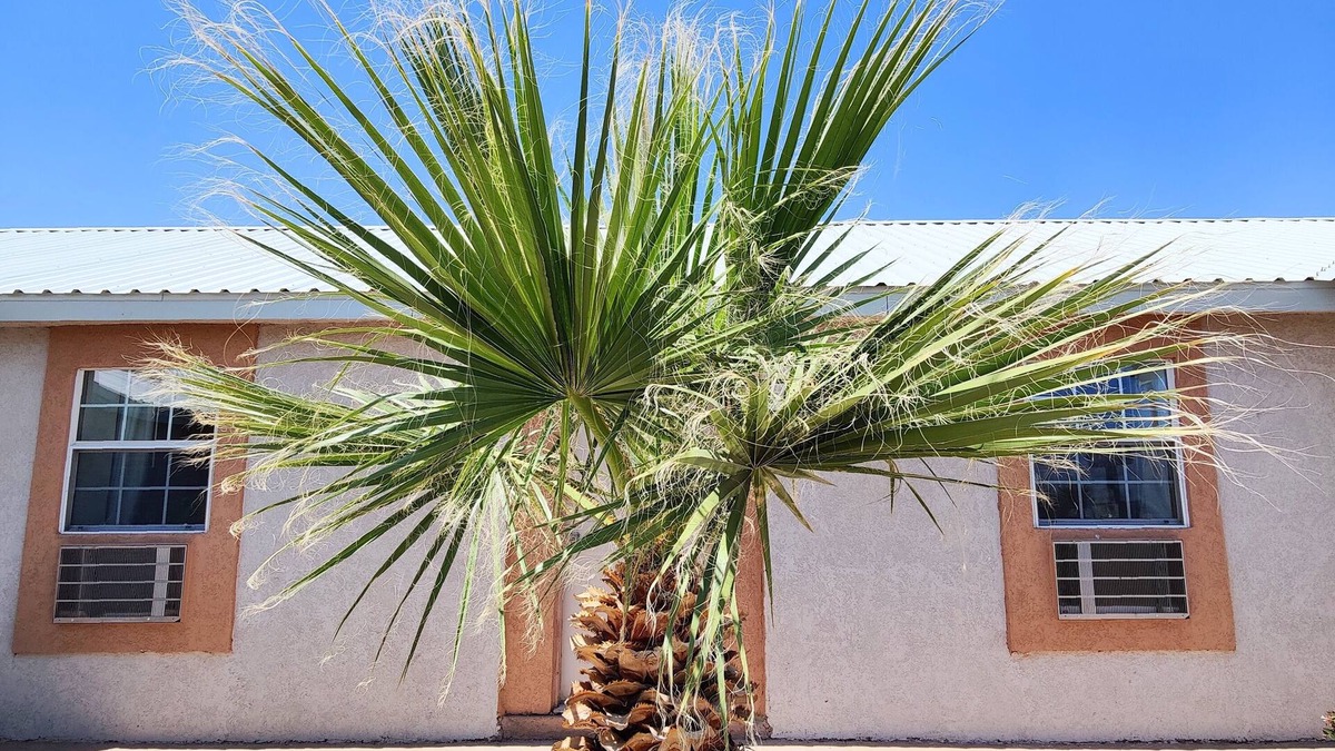 Van Horn Hotel | Desert Inn