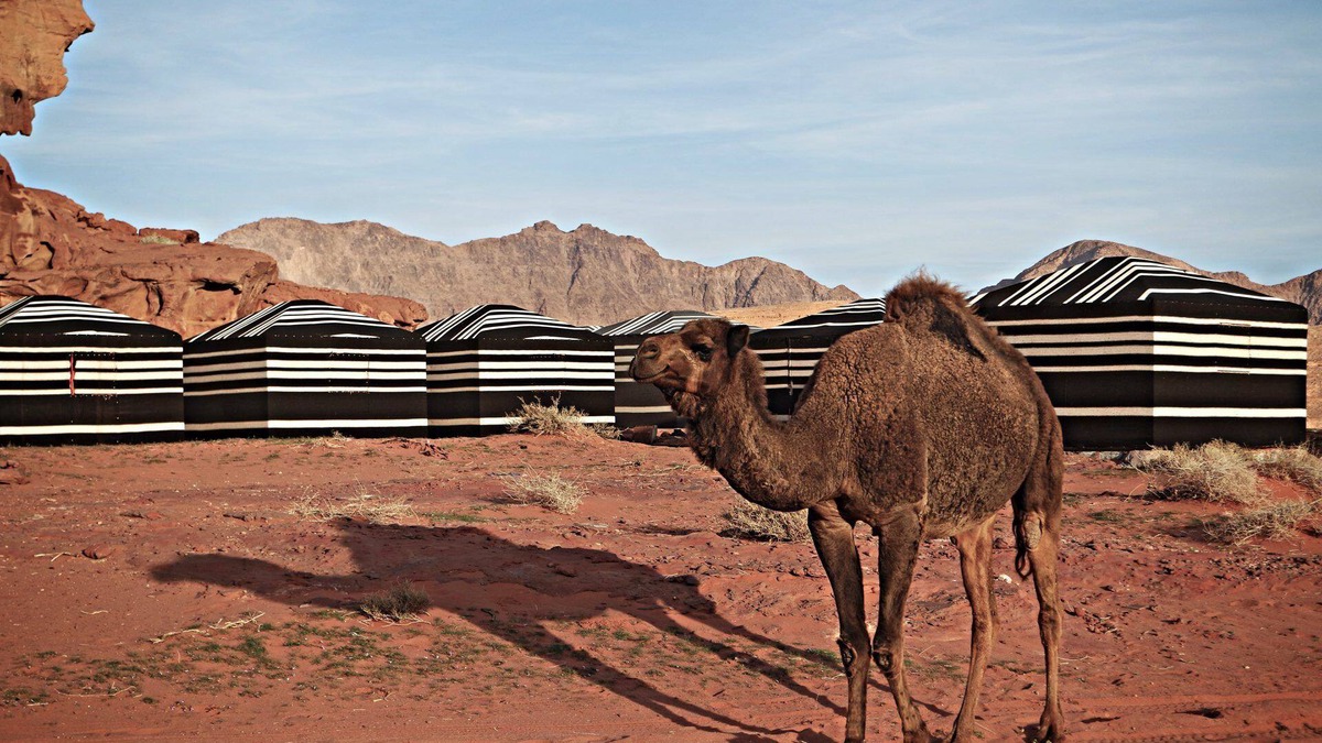 Wadi Rum RV Rental | Desert Melody - Campsite
