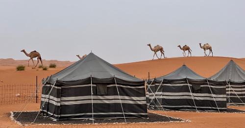 Bidiya Other | Desert Private Camp - Bedouin Camp