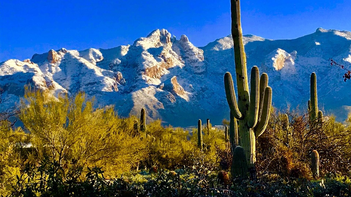Catalina Foothills Estates House | Desert Retreat at Tucson's Catalina Foothills