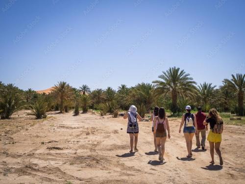 Hassilabied Other | Desert Trek Luxury Camp