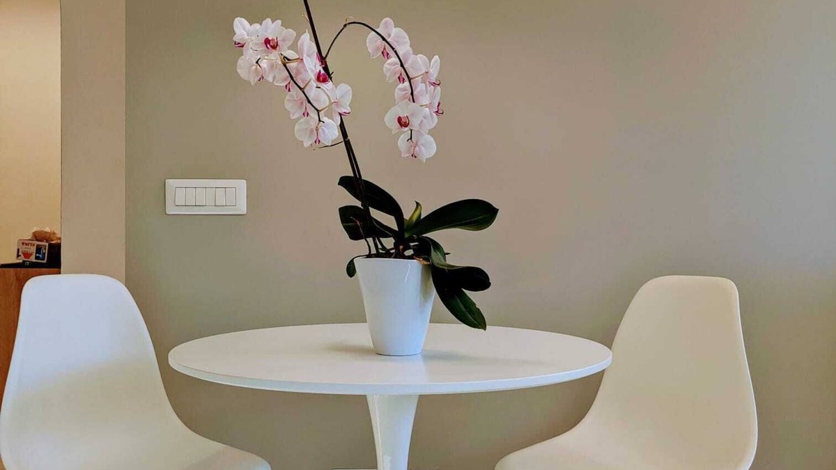 Lorenteggio Apartment | Design Stay NAVIGLI Fast to Duomo, Last Supper, Galleria, Castello, La Scala