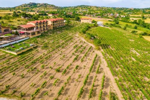 Kirklareli Hotel | Dessera Vineyards Hotel