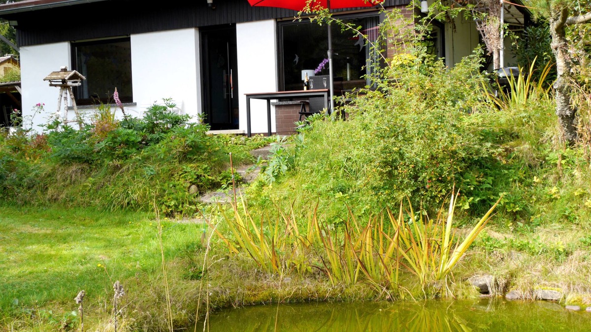 Borfink House | Detached 4 star bungalow -3800 sqm plot in the middle of the national park