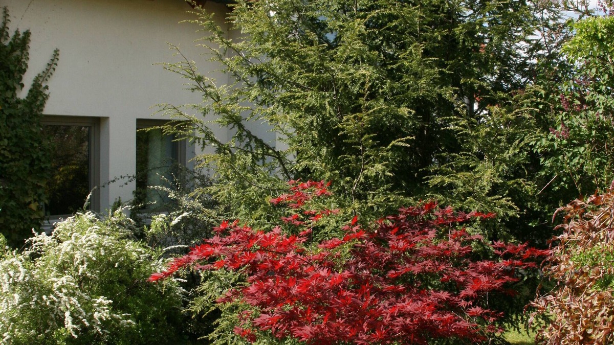 Kurort Gohrisch House | Detached, comfortably furnished holiday home with a wonderful garden