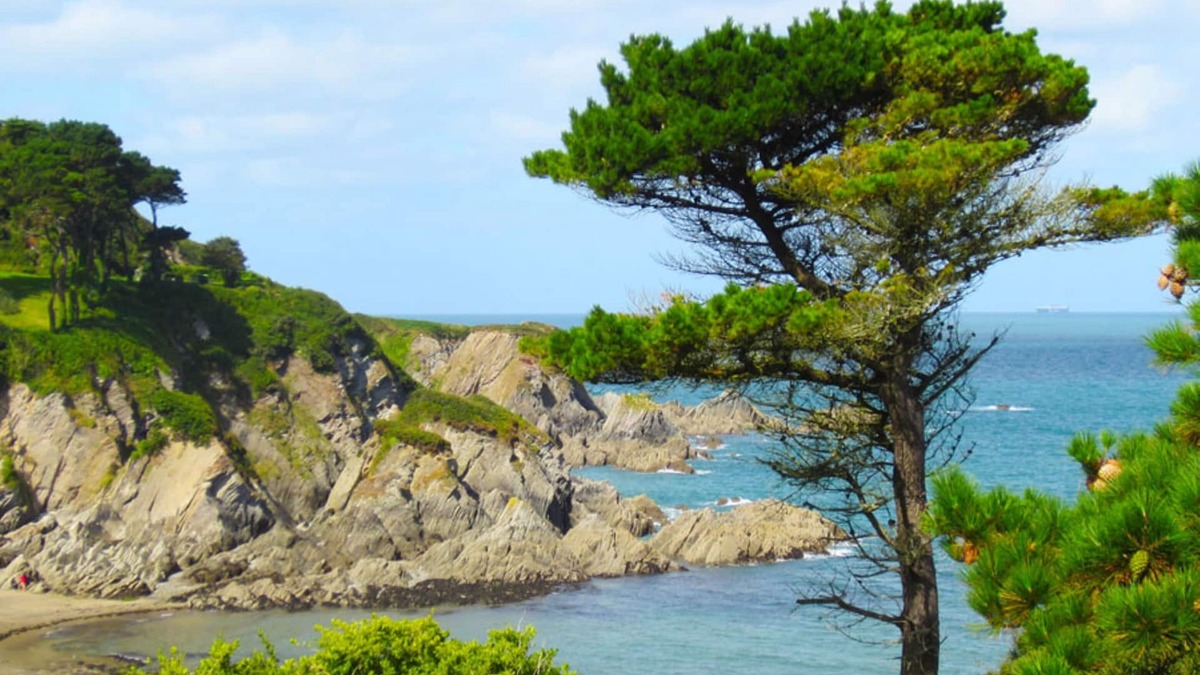Lee Cottage | Detached Cottage Overlooking The Sea