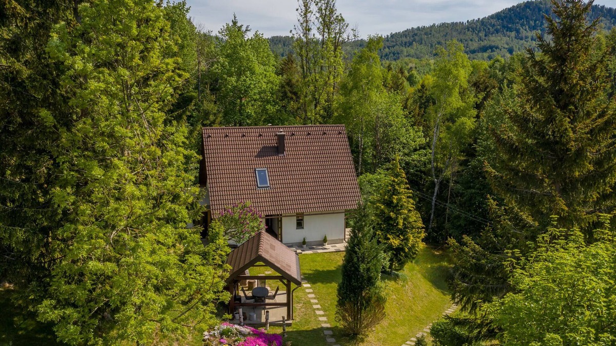 Lokve House | Detached house at 100m distance of the lake, surrounded by beautiful nature and with BBQ