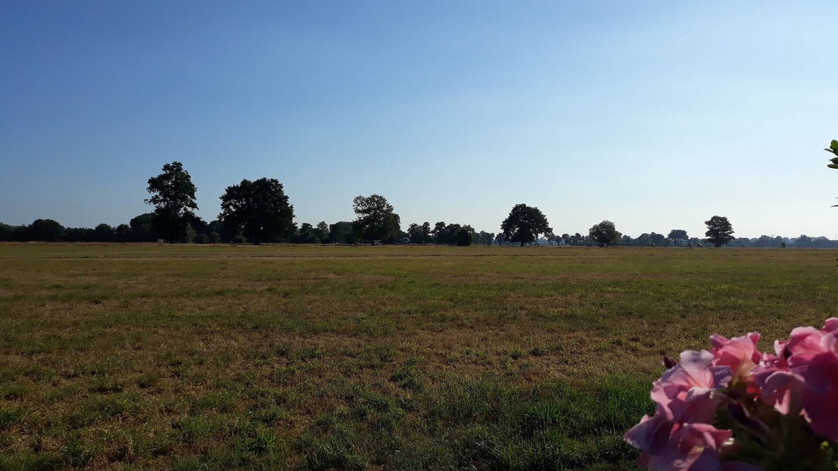 Soest Villa | Detached house in green surroundings