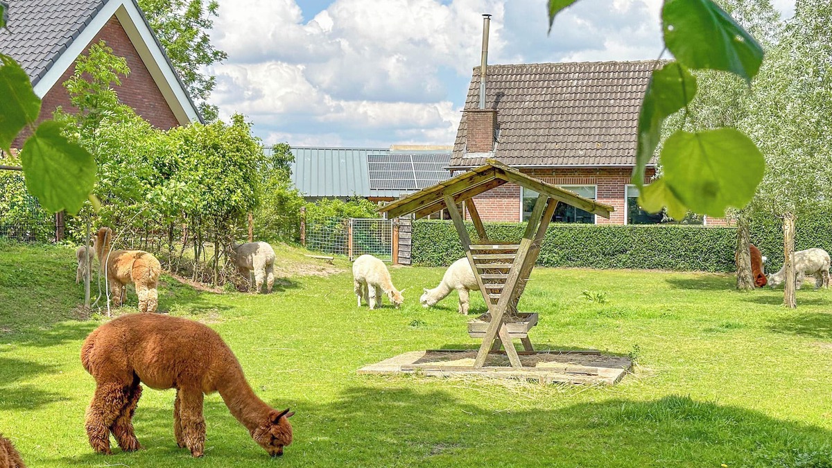 Vorstenbosch House | Detached house on an alpaca farm