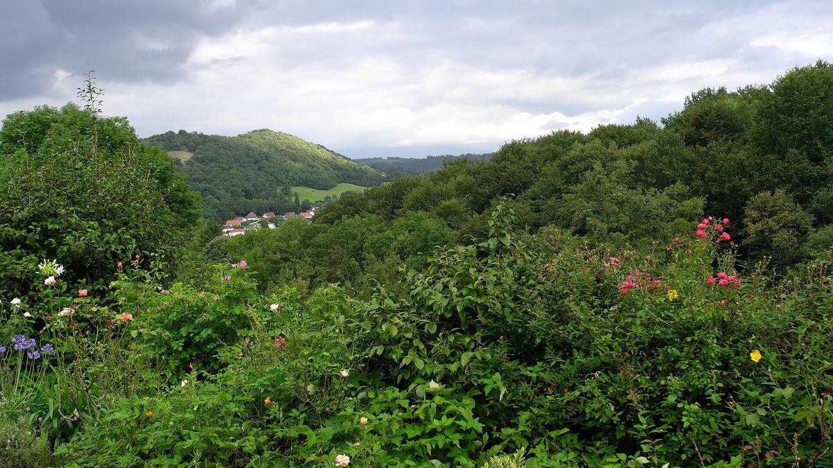 Gan House | Detached stone house in a 3-hectare property in the Pyrenean foothills