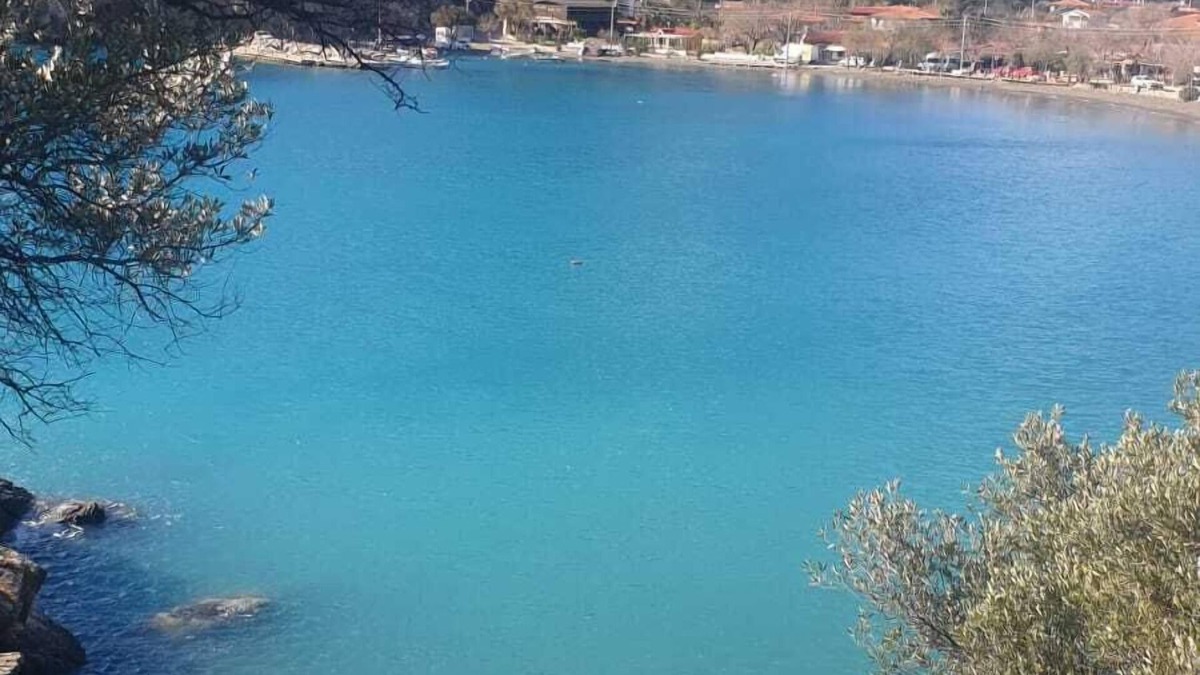 Mesudiye Villa | Detached villa