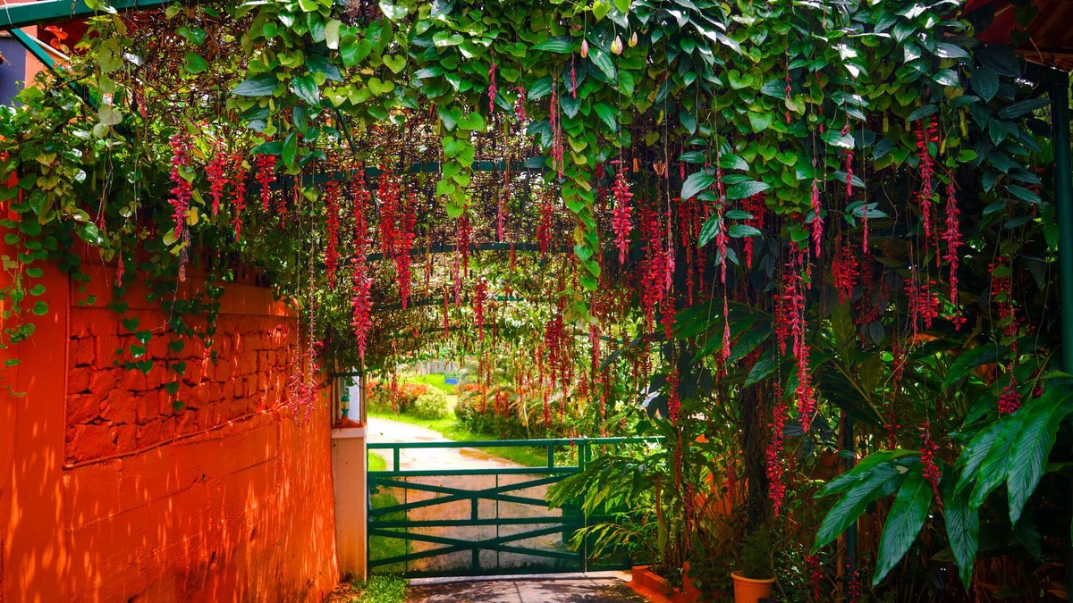 Madikeri Bed & Breakfast | Deva Maani Coorg Nature Holiday