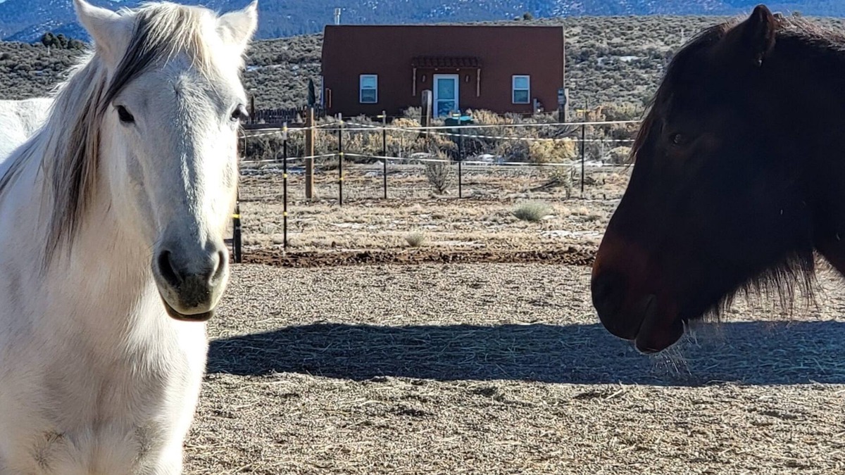 Ranchos De Taos House | Devine Casita - Stunning 360 Views! Dogs OK - Sweet Casita <1 mile to Trails