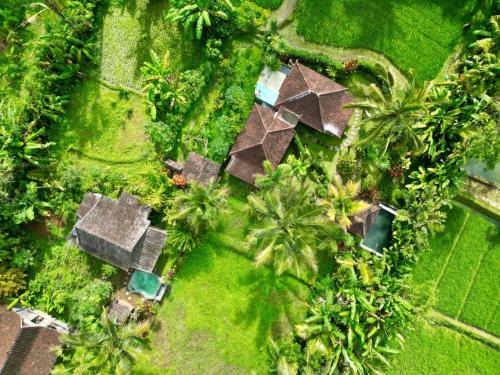 Sebatu House | Dewa Jati Cottages