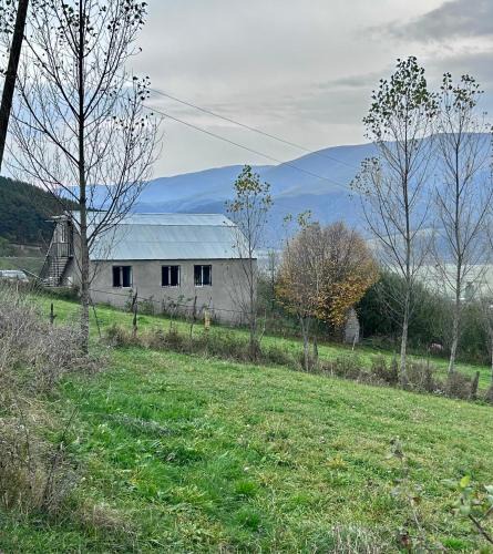 Aghavnadzor House | Dez Guesthouse with Mountain View near Dilijan