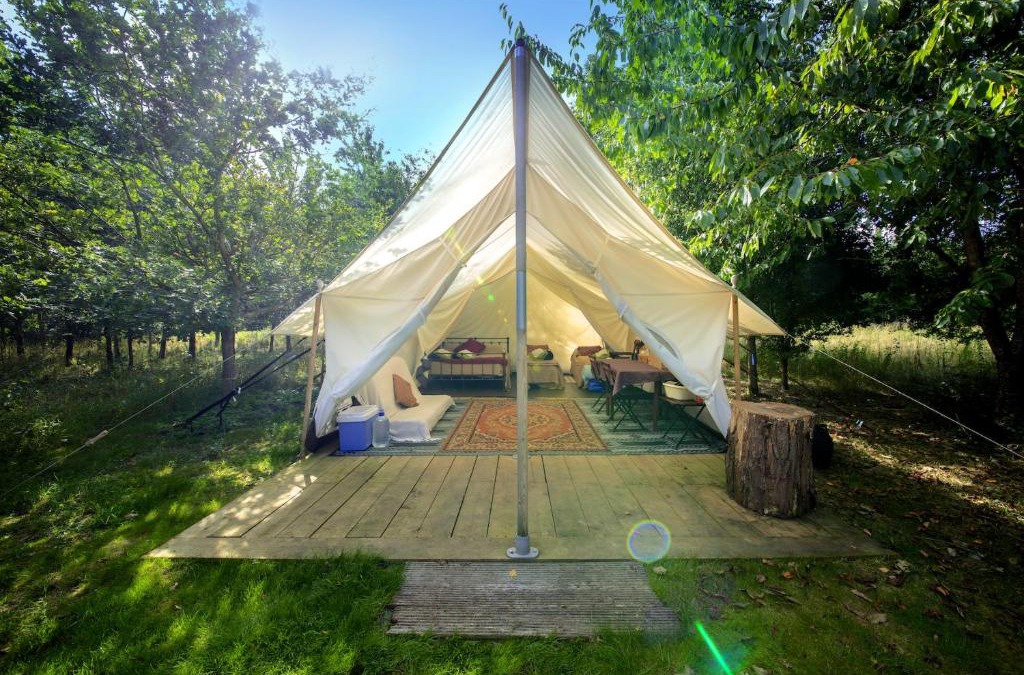 Blackford Other | DGG Woodland Escape