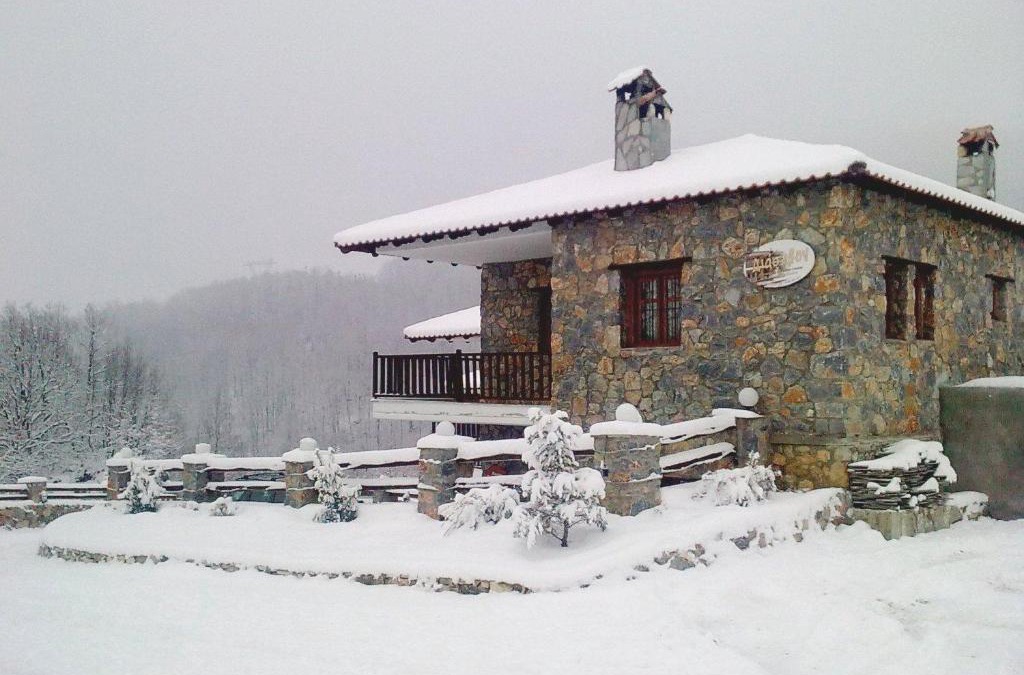 Elatochori Apartment | Diaselon
