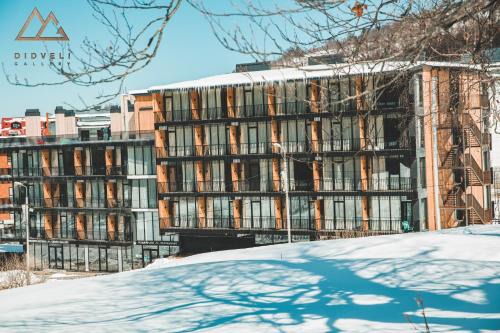 Bakuriani Apartment | Didveli Gallery B 109