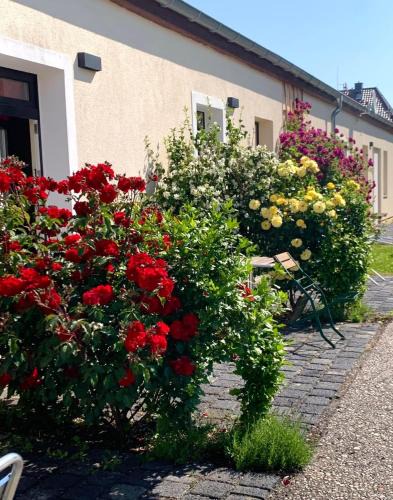 Stotteritz Apartment | die Senfbude - Klein aber fein - wunderschönes Studio-Apartment mit Terrasse und Stellplatz