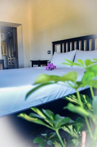 Arborea Bed & Breakfast | Dimora Arborea