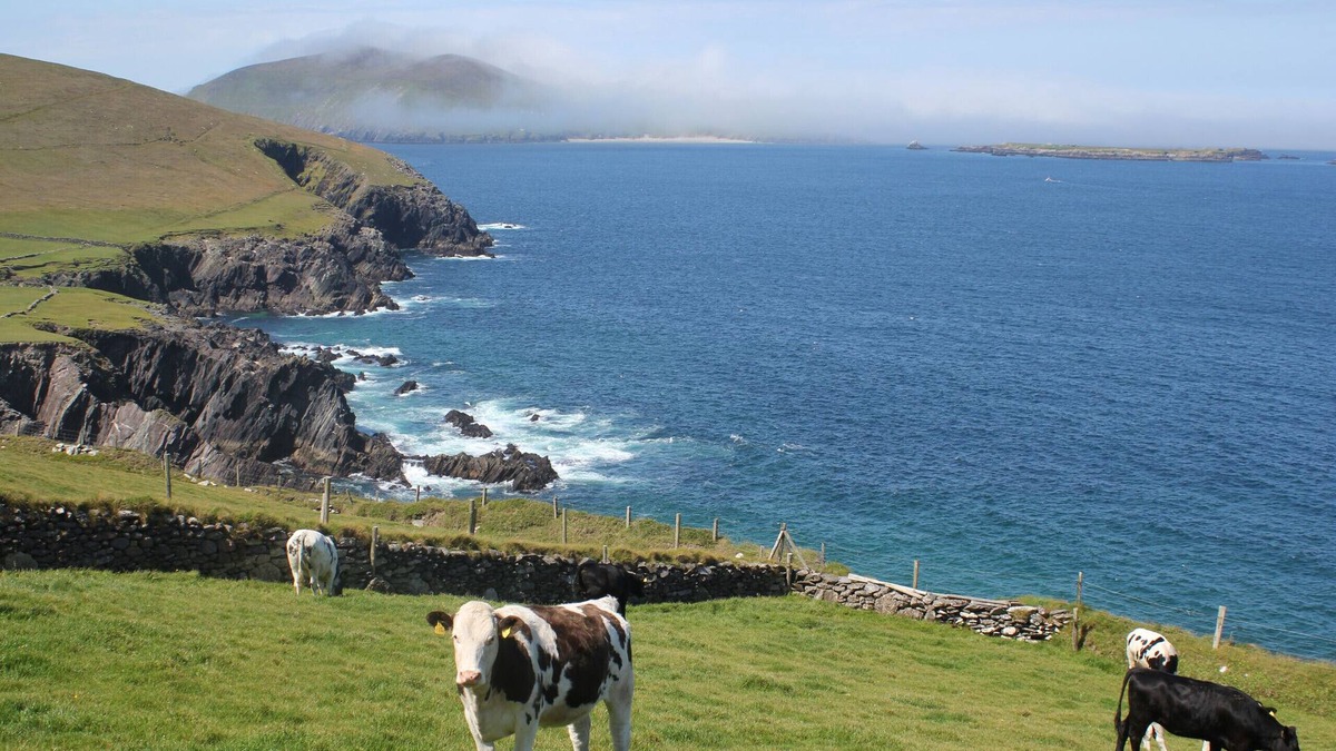 Dingle House | Dingle Courtyard Cottages (3 Bed - Sleeps 6)