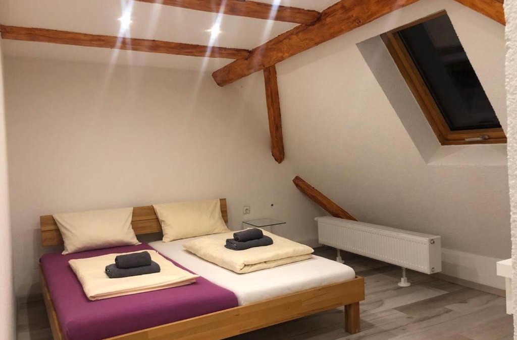 Altstadt Hotel | Dionysos Traube