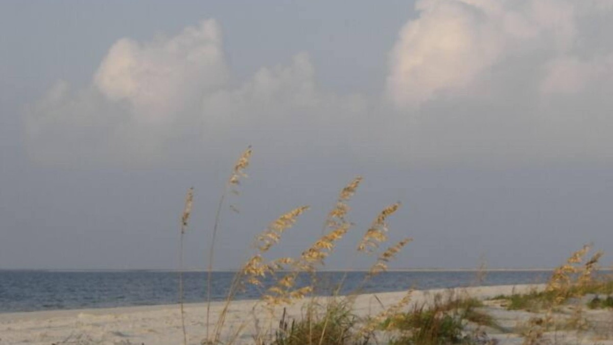 Dauphin Island Condo | Direct Beach Front, Beach/Ocean View, 2 Pools, Stylish, Comfortable & Relaxing