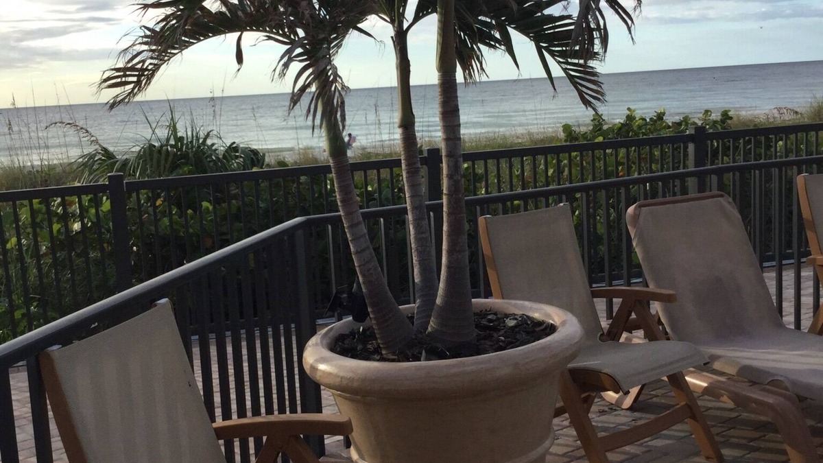 Belleair Beach Condo | Direct Ocean Front Condo in Beautiful Belleair Beach